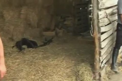 Ride Em coarse - Scene 4 - Pacific Sun Entertainment