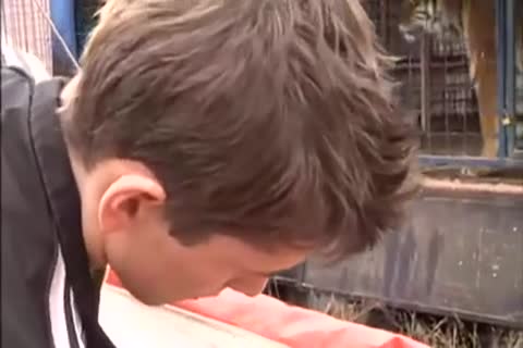 BB teens & males / TRASGU XII