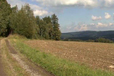 Outdoor homosexual Sex between Two young boyz