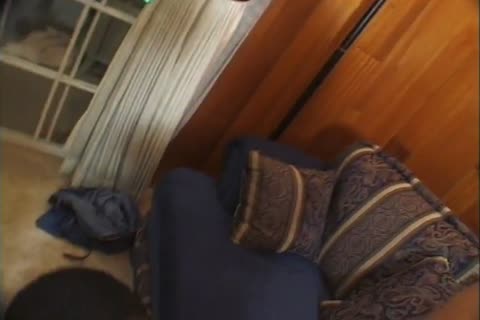 Tray And Tiger engulf Each Other Off admirable