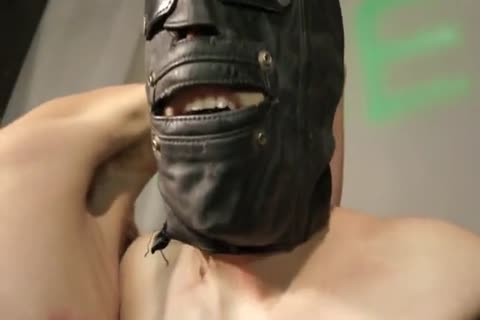 sadomasochism bondage teen Whipped, Waxed, Milked