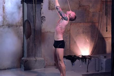 villein AUCTION VITALY II