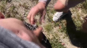 studs In Public 5 – Hike - a bit of butthole