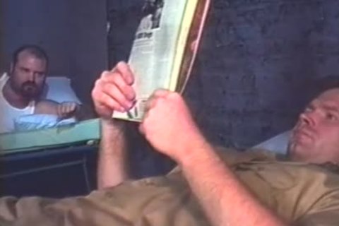 lascivious Bear Prisoners dril And engulf