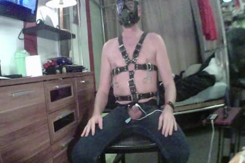 clip Training From master