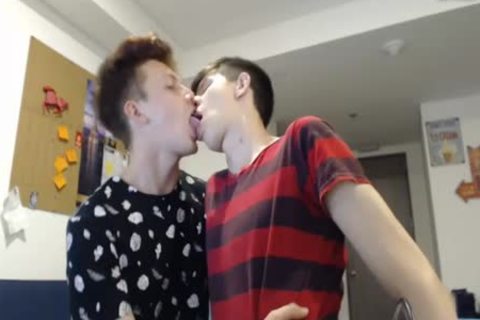 Niko And Teo plow