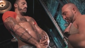 Mature smashed by big cock daddy