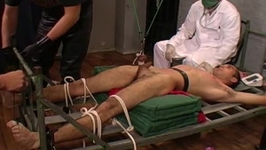 Feels the need for bondage