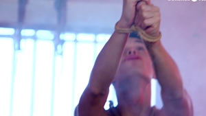 BDSM Bambis Wild Ride