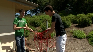 Next Door Twink: A Lustful Lesson with a Stuffed Bear