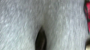 Debt Dandy: Satisfying the desperate hockey player